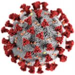 Covid virus